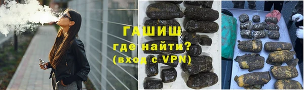 индика Горнозаводск