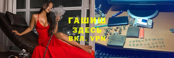 индика Горнозаводск