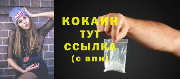 индика Горнозаводск