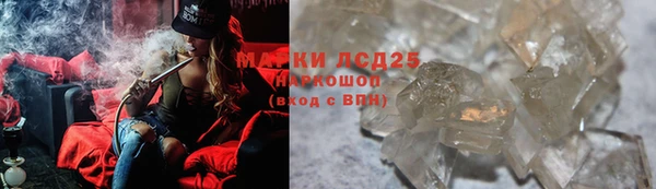 индика Горнозаводск