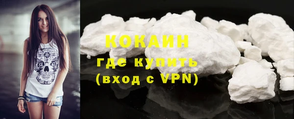 индика Горнозаводск