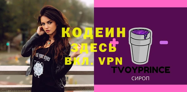 ешки Горняк