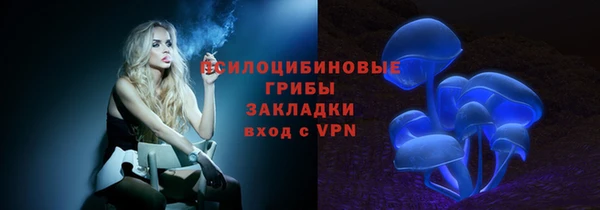 индика Горнозаводск