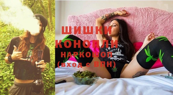 индика Горнозаводск