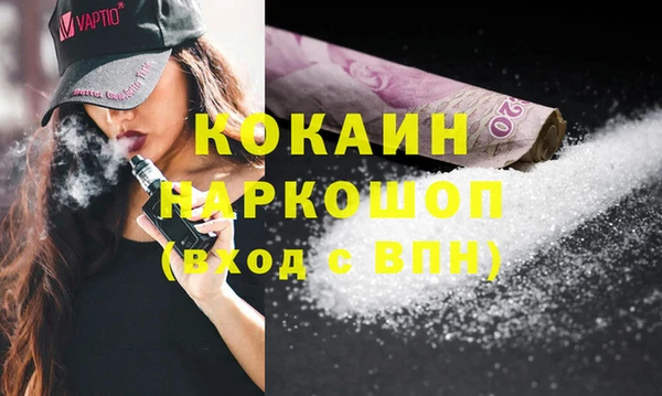 индика Горнозаводск