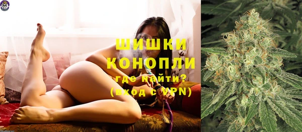 индика Горнозаводск
