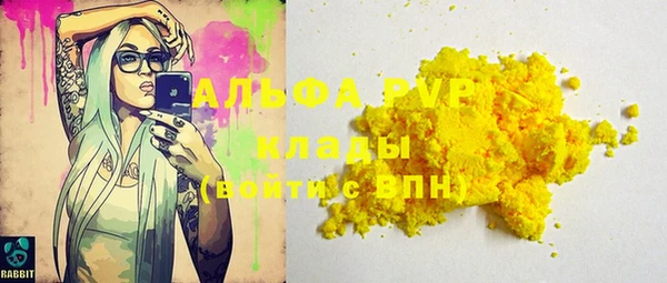 индика Горнозаводск