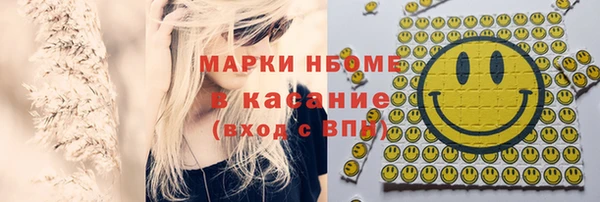 индика Горнозаводск