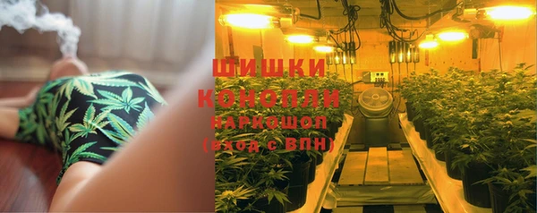 индика Горнозаводск