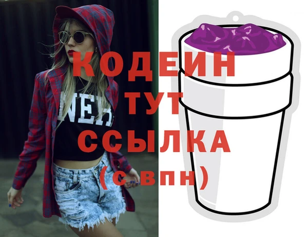 индика Горнозаводск