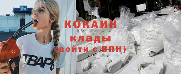 индика Горнозаводск