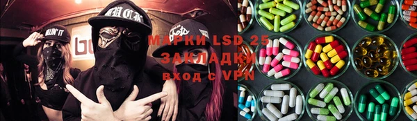 индика Горнозаводск